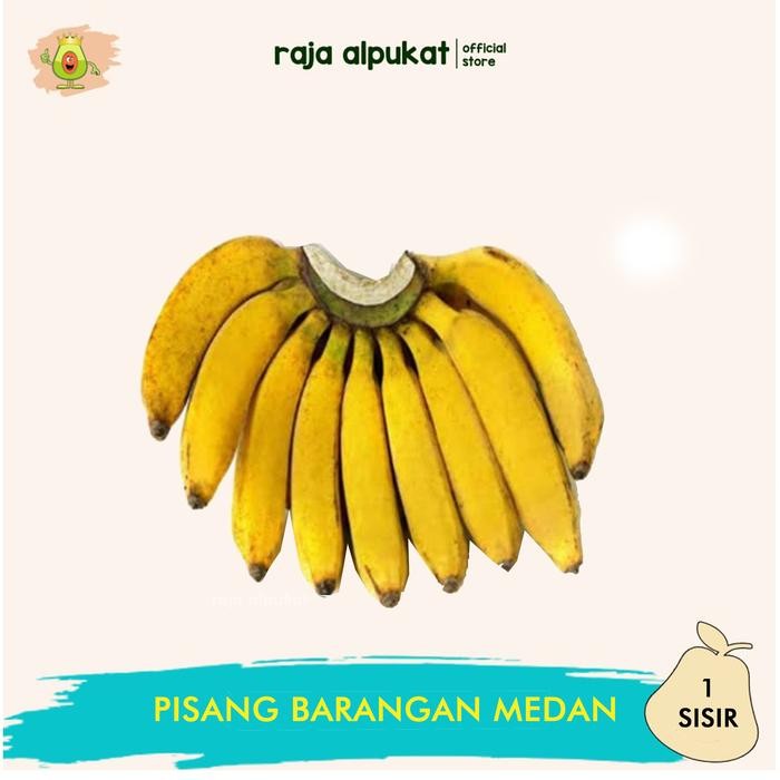 

TERMURAH PISANG BARANGAN ASLI MEDAN (SATU SISIR) READY STOCK