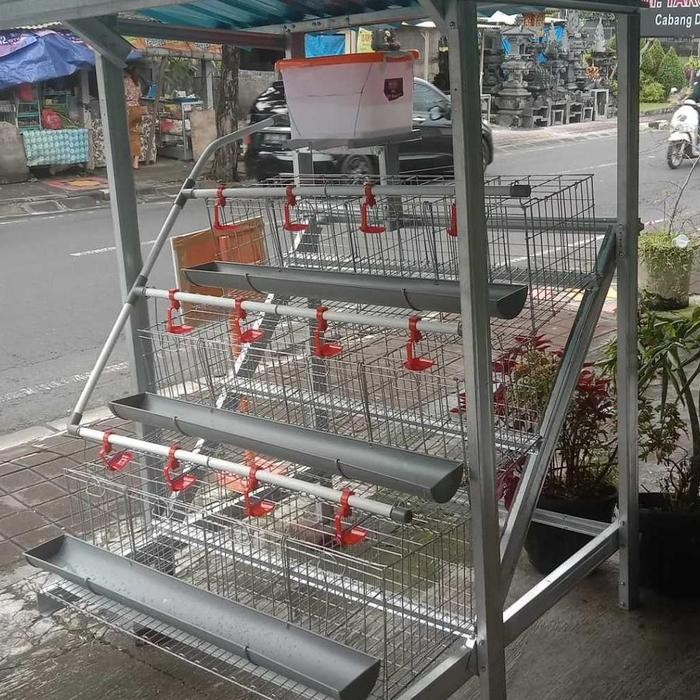 READY Kandang Baterai / Kandang ayam Kawat Ayam Petelur 4 Pintu isi 8 Ekor