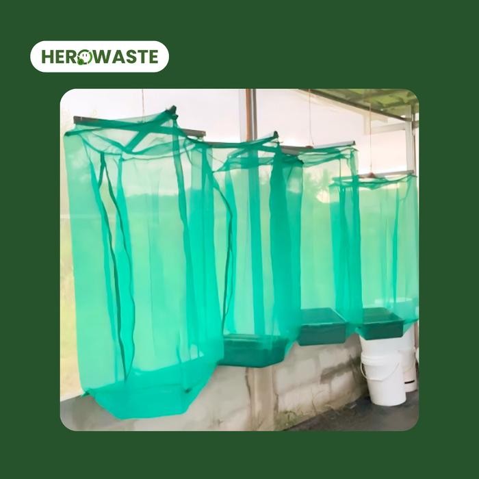 Herowaste - Kandang Lalat BSF Insectarium dengan kerangka Maggot BSF