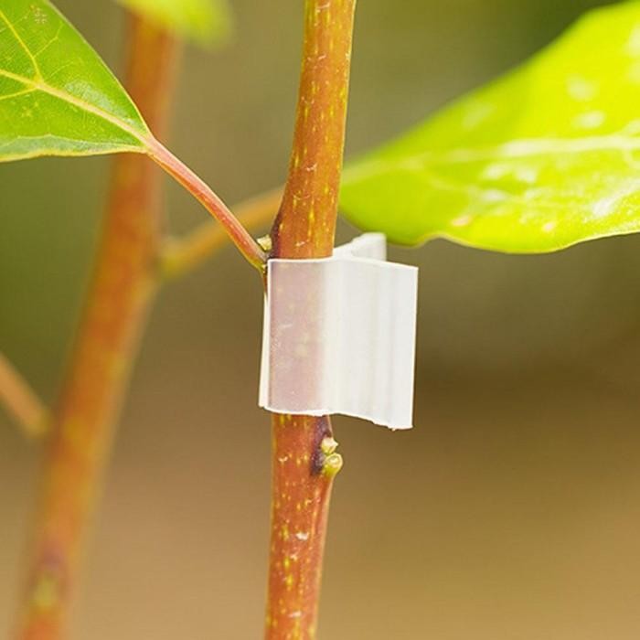 Grafting Clip / Klip Okulasi / Sambung Pucuk / Penjepit Okulasi Polos