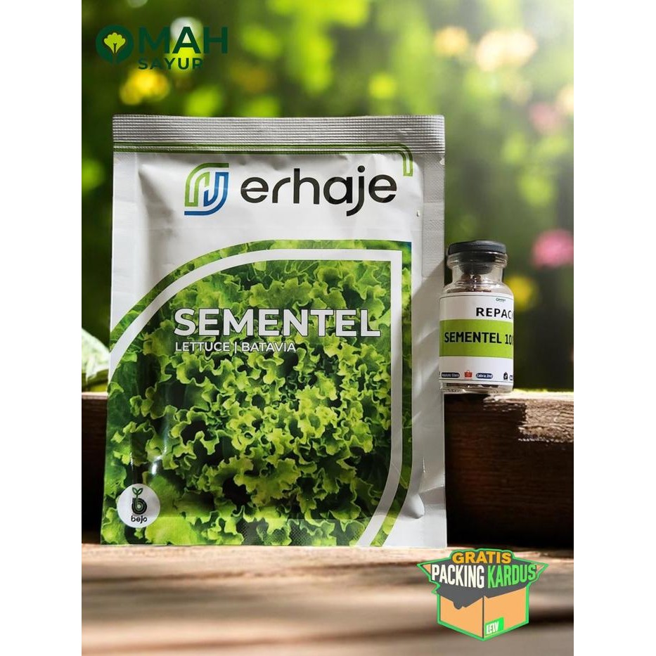 [REPACK-100 Pills] Benih Selada Bejo SEMENTEL Benih Lettuce Batavia By Bejo Seeds