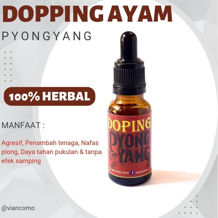tersedia doping ayam aduan pyongyang vitamin tambah tenaga mental juara