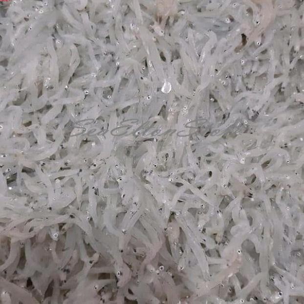 

Baru Teri Nasi Basah Segar 250Gr