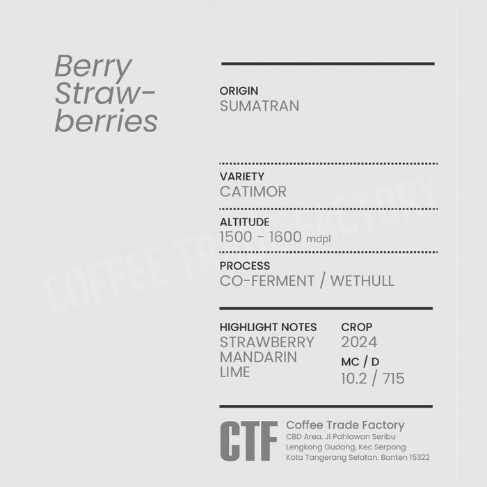 

Green Beans Arabika Taneh Karo Wet Hull Berry Strawberry / Coffee Trade Factory CTF / Green Bean