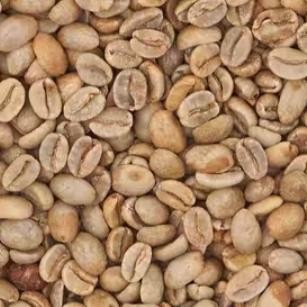 

COLOMBIA FINCA MONTEBLANCO COCO 24 GREEN BEANS