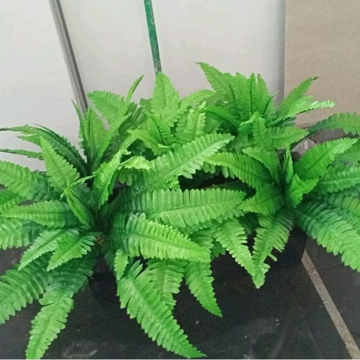 PAKIS BOSTON/BUNGA PLASTIK/BUNGA HIAS/BUNGA DEKORASI/BUNGA TAMAN/TANAMAN HIAS/TANAMAN PLASTIK/BUNGA