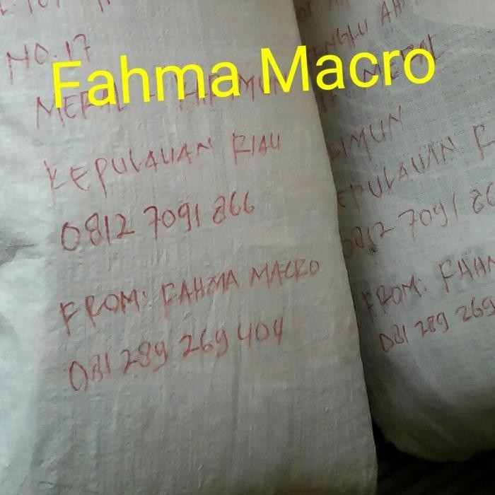 Sofa Bed Inoac 200 X 160 X 20