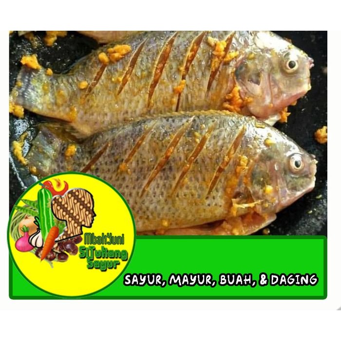 

ikan mas ungkep bumbu kuning 1kg frozen food stok terbatas