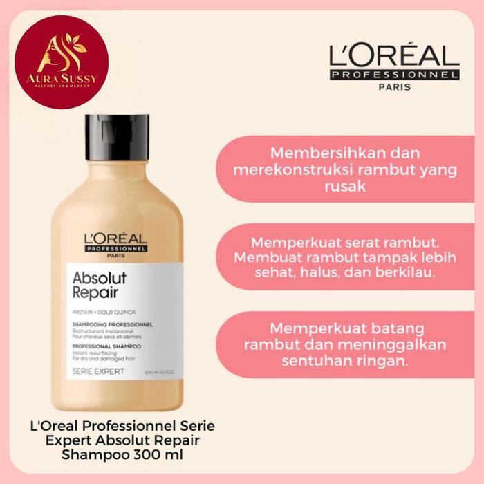 LOreal Professionnel Absolut Repair Series Untuk Rambut Kering