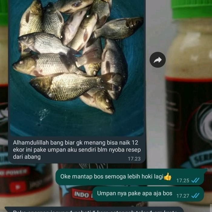 ESSEN MANCING UDANG GALAH LIAR PALING JITU Ikan Pancing Umpan (TERBAIK) (TERBARU) (TERMURAH)