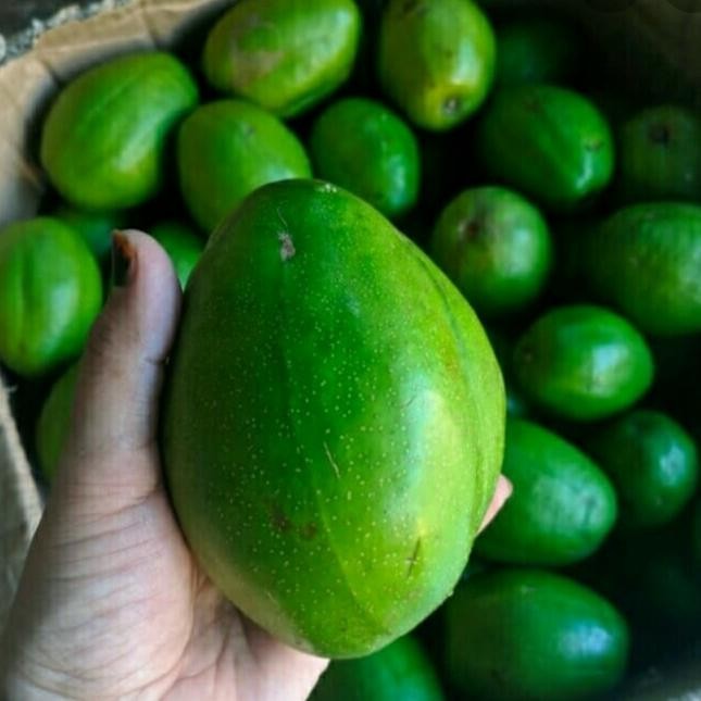 

NATURE- Buah Kedongdong Bangkok 1 Kg