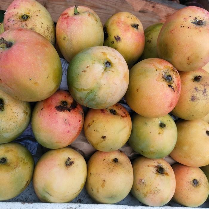 

NATURE- Mangga Apel Segar 500Grbkak