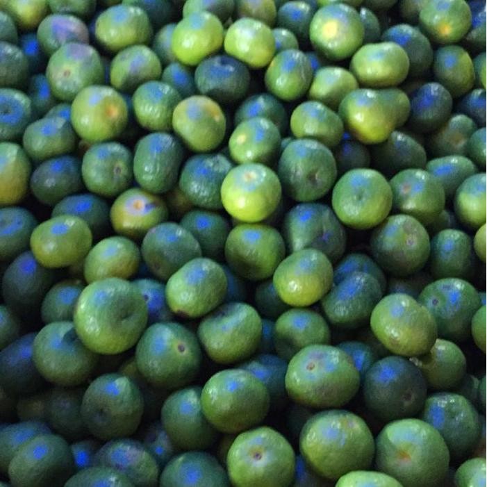 

NATURE- Jeruk Limau / Limo / Kecil 1 Kg Termurah / Grosir