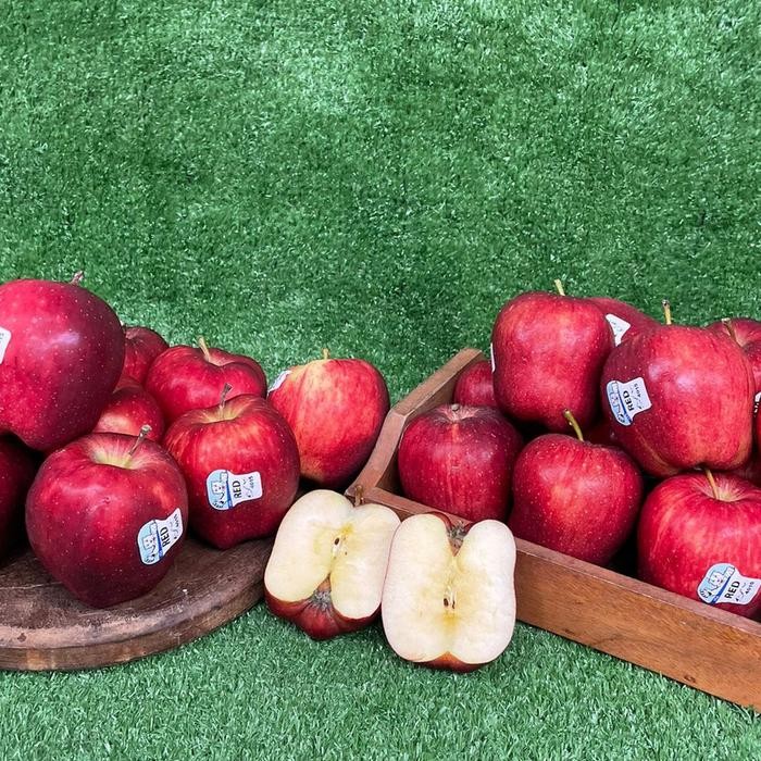 

NATURE- Apel Washington