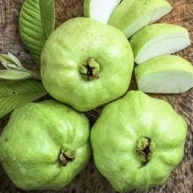 

NATURE- Buah Jambu Cristal Segar