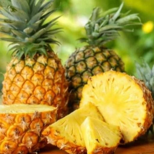 

NATURE- Nanas Madu ( Perbuah)