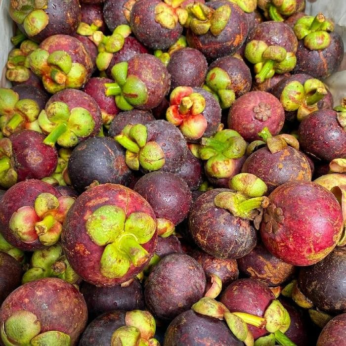 

NATURE- Buah Manggis / Kg