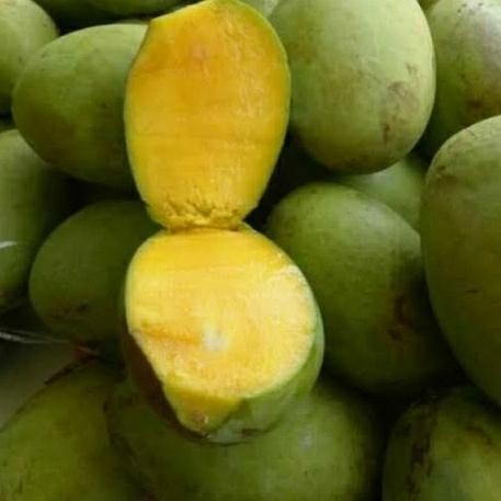

NATURE- Mangga Kweni, Fresh, Segar, Cocok Buat Jus, Bahan Dasar Sambal 1Kg Buah