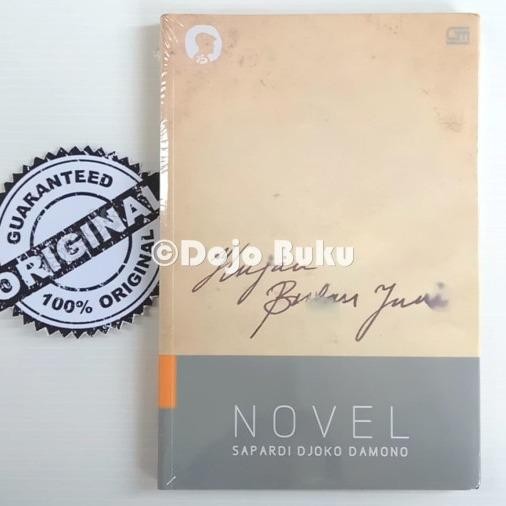 

Hujan Bulan Juni Novel ( Sapardi Djoko Damono )