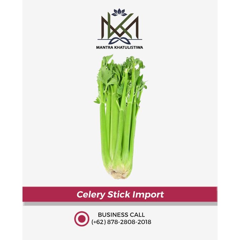 

LUXEHEALTH- Seledri Stick Import