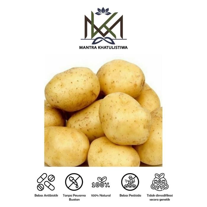 

LUXEHEALTH- Kentang Dieng Super (Besar), Kentang Rendang