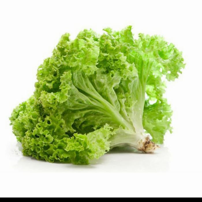 

LUXEHEALTH- Daun Selada Lalab Segar Murah