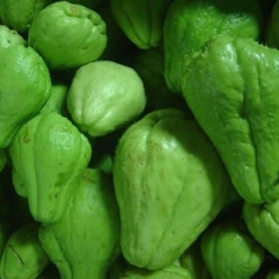 

LUXEHEALTH- Labu Siam Baby