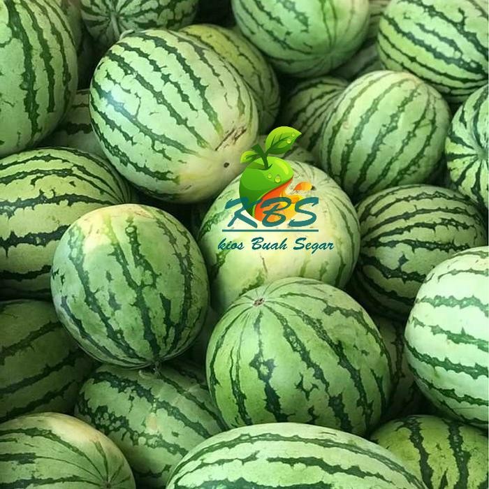 

semangka merah berbiji