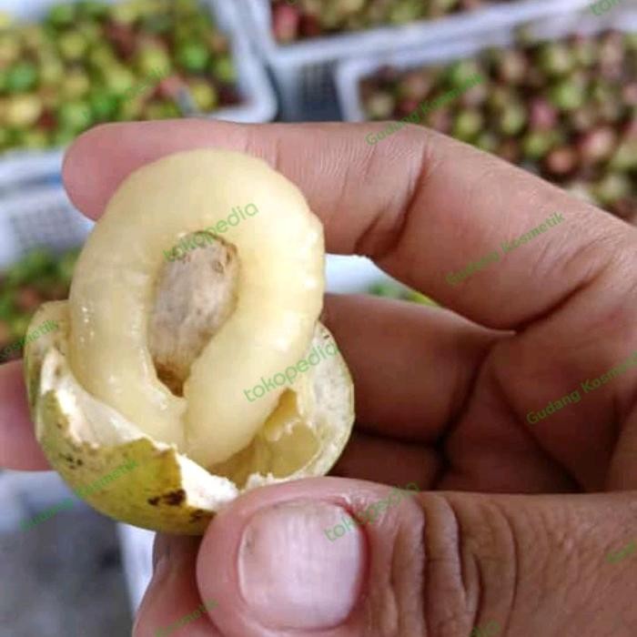 

Buah Matoa papua perpaduan rasa lengkeng rambutan durian dan leci - kg