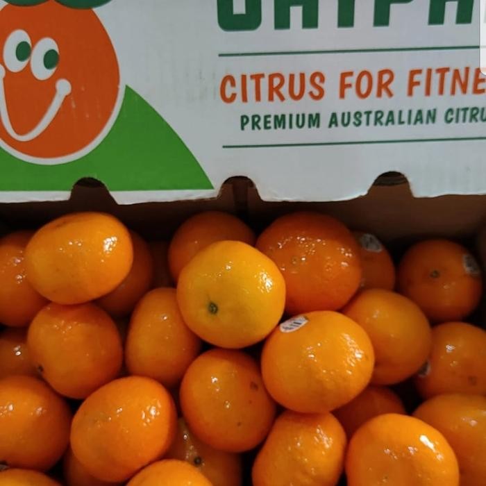 

jeruk murcot import /kg