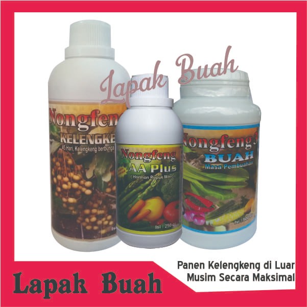 Pupuk Organik Cair Nongfeng Paket Kelengkeng Berbuah di Luar Musim