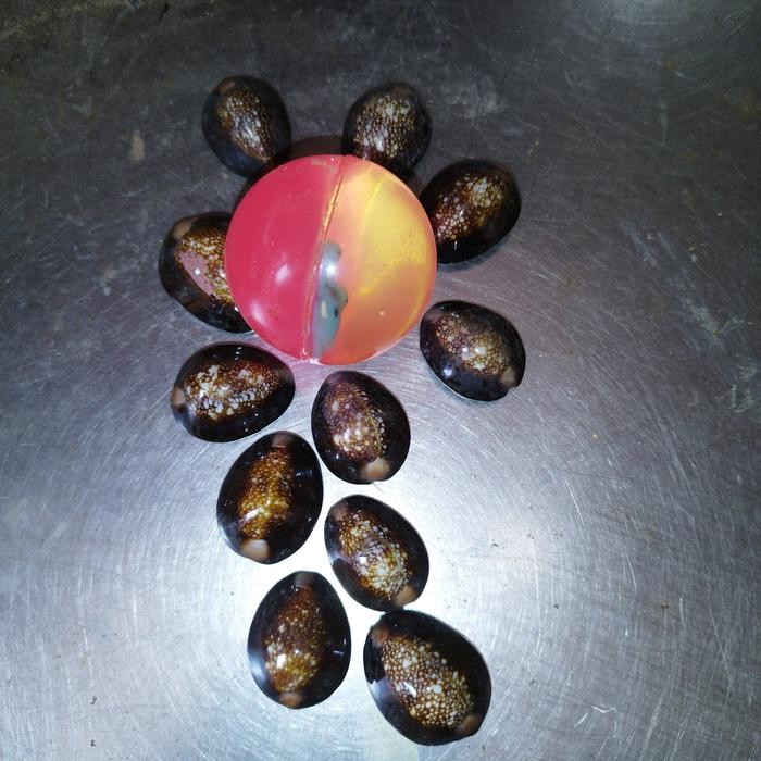 Bisa E-Katalog Bolasamakerang