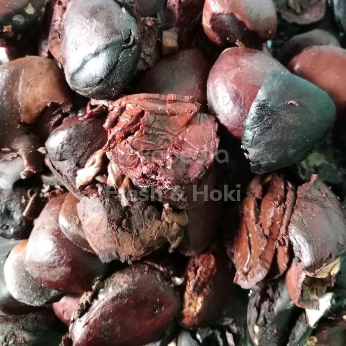 

Pilihan- Kluwek Kupas / Original / Rawon / Dadakan / 250 Gram