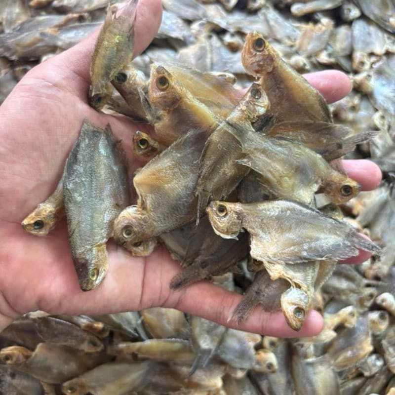 

Ikan Asin Sepat Rawa 500gr