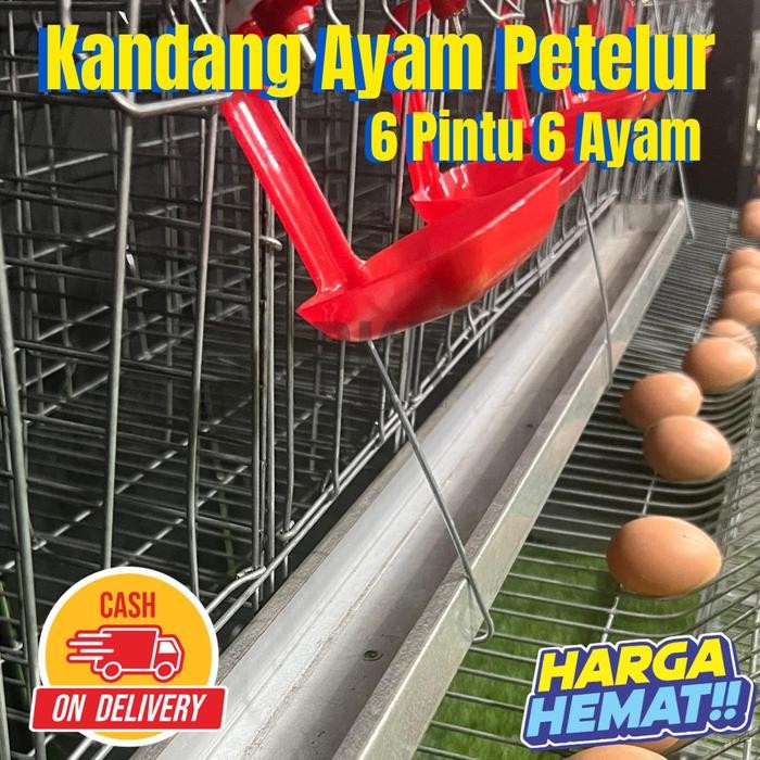 Kandang Ayam Petelur 6 Pintu Galvanis Anti Karat - Kapasitas 6 Ekor Ayam bertelur besi