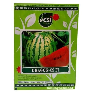 BENIH SEMANGKA DRAGON CS F1