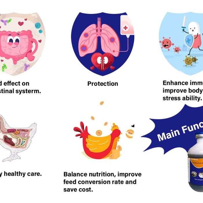 solution vitamin khusus buat ayam Winner y 1000