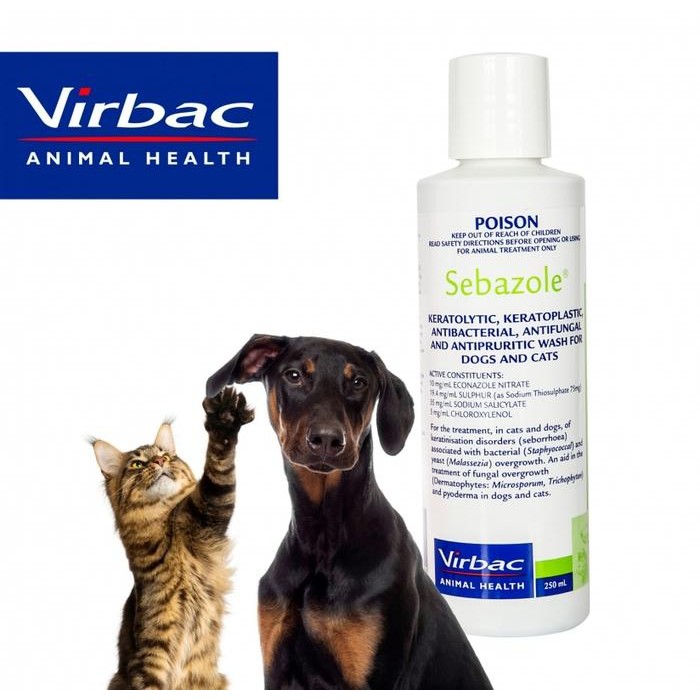 Pilihan- Shampoo Anti Jamur Sebazole
