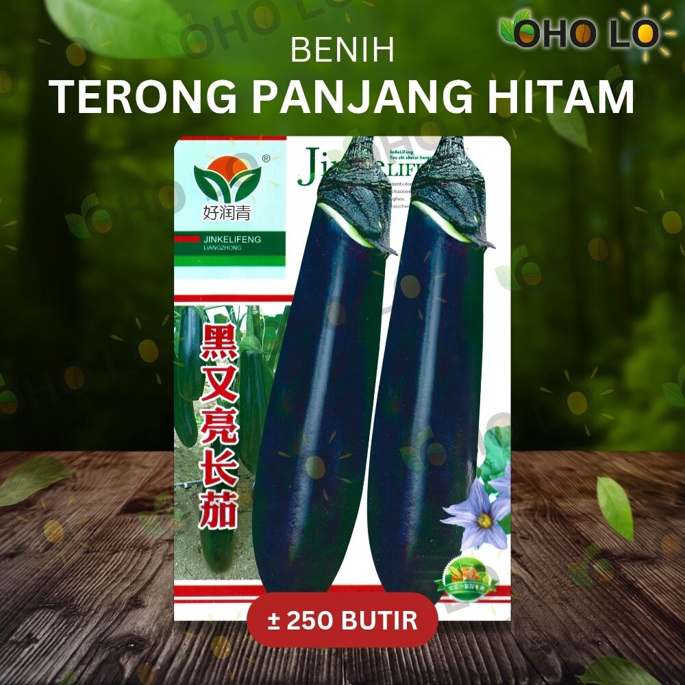 ± 250 BUTIR BENIH TERONG PANJANG HITAM IMPORT KEMASAN ORIGINAL PABRIK