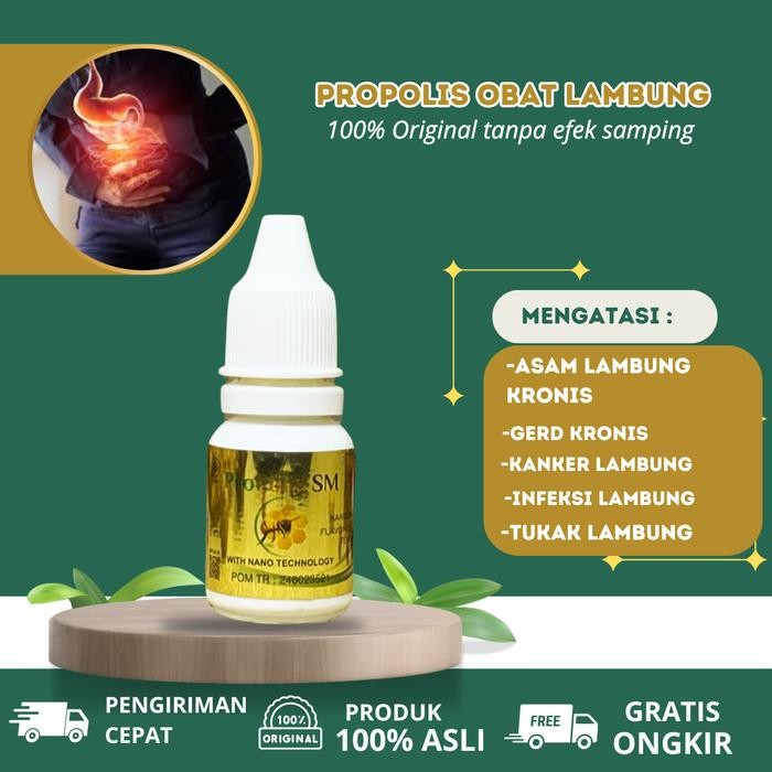 propolis untuk lambung, tukak lambung gerd, lambung kronis, maag, nyeri lambung, kanker lambung,