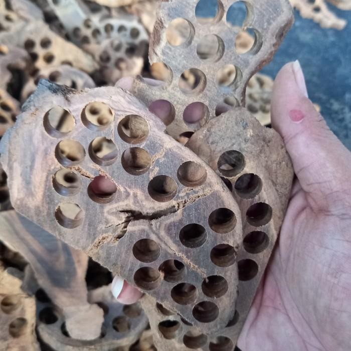 Expert Limbah kayu gaharu 1kg Kayu gaharu kayu gaharu asli kalimantan