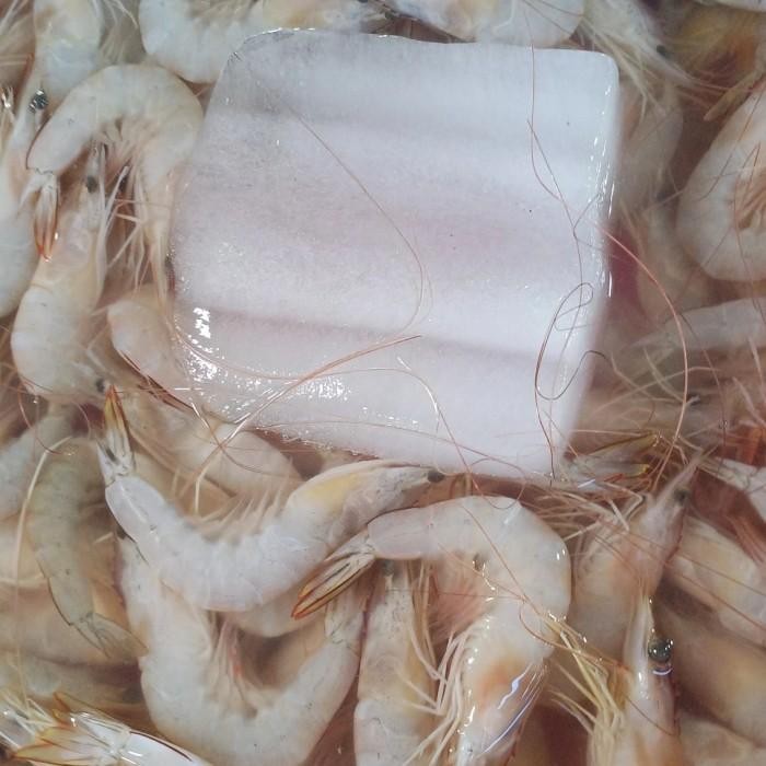 

(Expert) udang white fresh