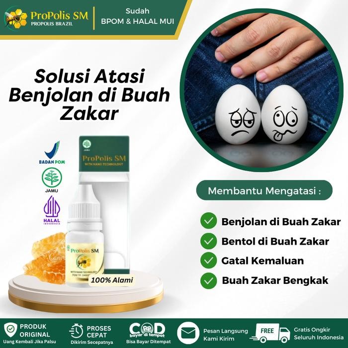 Propolis SM Salep Oles Untuk Benjolan di Buah Zakar, Benjolan di Kantong Buah Zakar, Buah Zakar