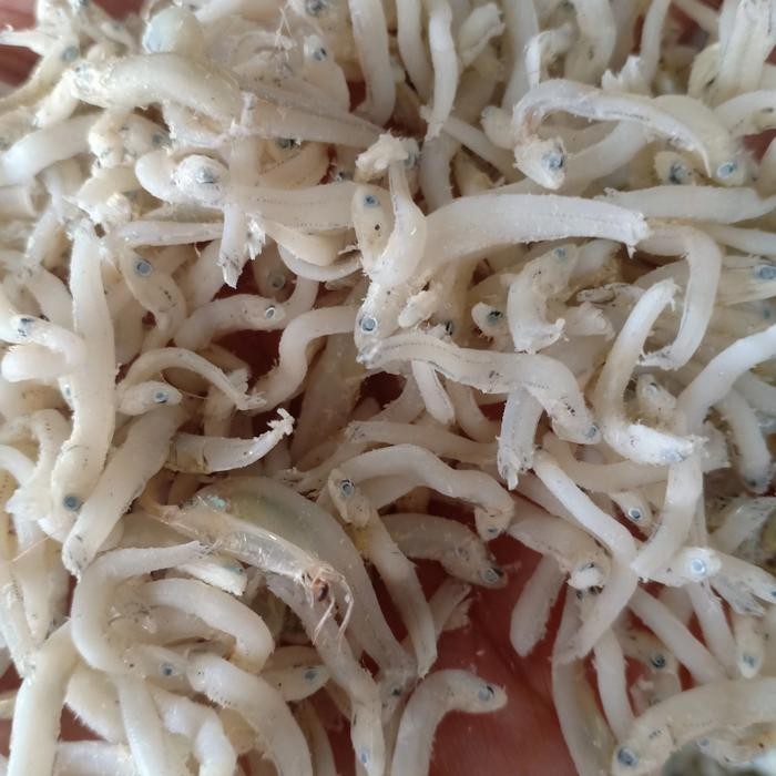 

Ikan Asin Teri Medan Per 500Gr