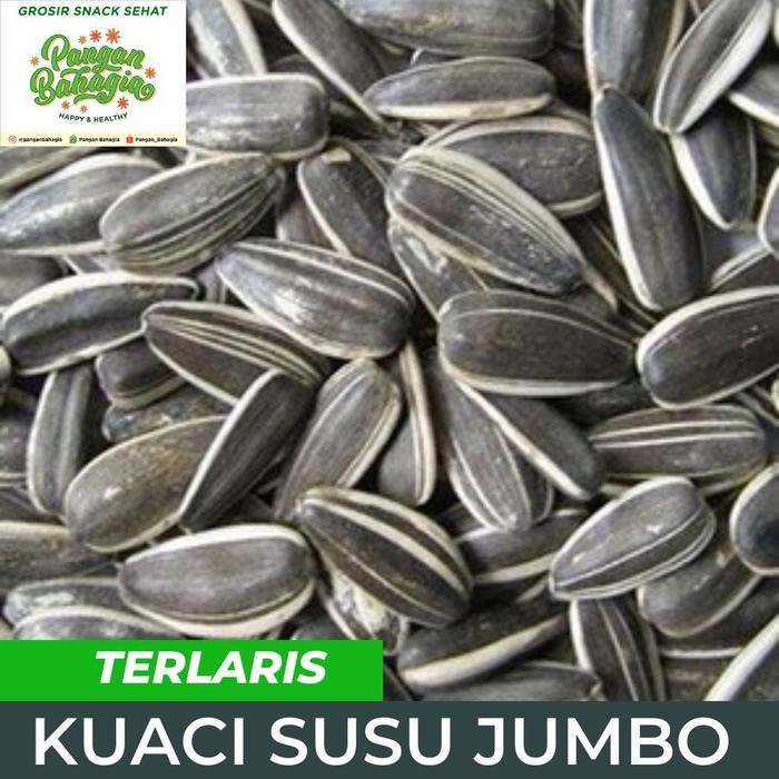 

New Kwaci kuaci bunga matahari JUMBO Rasa Susu 500gr