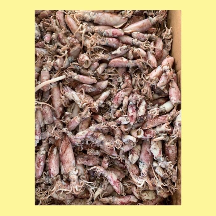 

PREMIUM BABY CUMI ASIN / BABY CUMI KERING