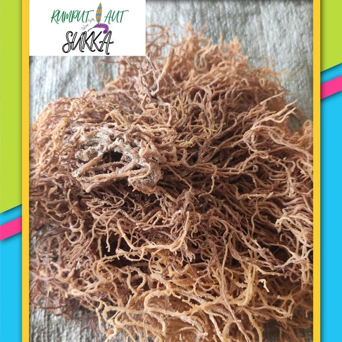 

PREMIUM RUMPUT LAUT / RUMPUT LAUT COKLAT / RUMPUT LAUT KERING 1KG