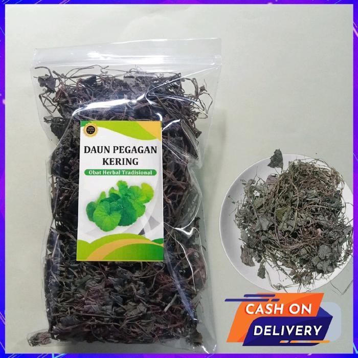 

PREMIUM Daun Pegagan Kering Organik