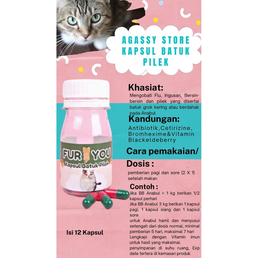FURYOU OBAT BATUK PILEK KUCING AMPUH BATUK KUCING SEMBUH PATEN