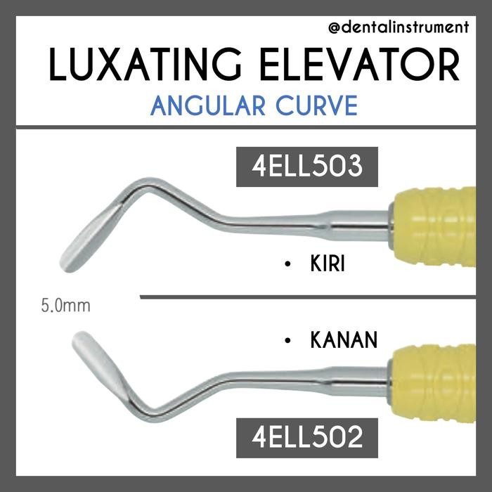 Luxating Elevator Ultra Sharp / Dental Bein Ekstraksi Gigi Merek Osung
